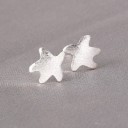 Boucles d'oreilles pour femmes R98 8