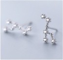 Boucles d'oreilles pour femmes signe du zodiaque 12