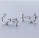 Boucles d'oreilles pour femmes signe du zodiaque 14