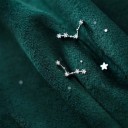Boucles d'oreilles pour femmes signe du zodiaque 4