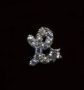 Boucles d'oreilles puces avec zircon 57
