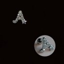 Boucles d'oreilles puces avec zircon 2