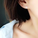 Boucles d'oreilles puces en forme de cœur G376 6