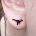 Boucles d'oreilles puces pour femmes H864 17