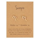 Boucles d'oreilles puces pour femmes signe astrologique 15