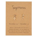Boucles d'oreilles puces pour femmes signe astrologique 5