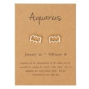 Boucles d'oreilles puces pour femmes signe astrologique 7