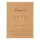Boucles d'oreilles puces pour femmes signe astrologique 11