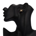 Boucles d'oreilles puces pour femmes signe astrologique 2