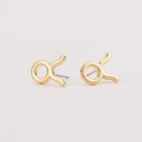 Boucles d'oreilles puces pour femmes signe astrologique 4