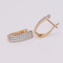Boucles d'oreilles rondes pour femmes avec zircons G794 1