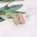 Boucles d'oreilles rondes pour femmes avec zircons G794 4