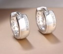 Boucles d'oreilles rondes pour femmes avec zircons H859 4