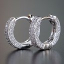 Boucles d'oreilles rondes pour femmes G1246 31