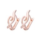Boucles d'oreilles rondes pour femmes G524 2