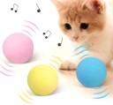 Boule mobile pour animaux de compagnie 2