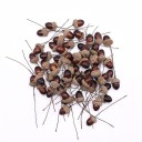Bouquet artificiel de glands 24 pcs 2