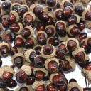 Bouquet artificiel de glands 24 pcs 5