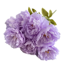 Bouquet di peonie artificiali a fiori pieni 42 cm plastica + tessuto fiore decorativo mazzo per vaso per matrimoni interni e decorazioni 7