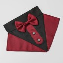 Bow Tie Collar C785 2