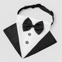 Bow Tie Collar C785 5