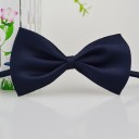 Bow Tie Collar 12