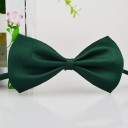 Bow Tie Collar 15