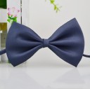Bow Tie Collar 14