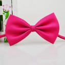 Bow Tie Collar 13