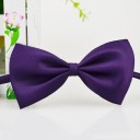 Bow Tie Collar 16