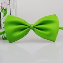 Bow Tie Collar 10