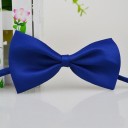 Bow Tie Collar 7