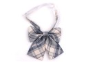 Bow Tie T1266 2