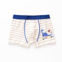 Boxer shorts pour garçons avec des dinosaures 9