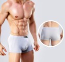 Boxers de bambu para homens 5