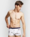 Boxers Mike 2