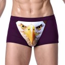 Boxers para homem com águia J2637 3