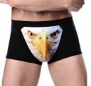 Boxers para homem com águia J2637 4