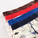 Boxers para rapazes com dinossauros 6