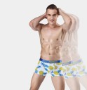Boxers pour hommes - Fruits exotiques 4