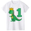 Boys' Birthday T-Shirt B1404 2