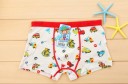 Boys' Boxer Shorts with Cars - 3 Pack 4