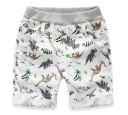 Boys' Dinosaur Print Shorts J1329 2