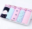 Braguitas de mujer con varios estampados - 5 uds. 12