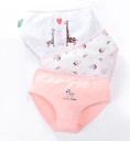 Braguitas de niña con animales - 3 uds. 7