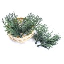 Branche artificielle de conifère 6 pcs C627 3