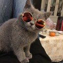 Briller til katte og hunde 8 cm 5