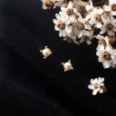 Brincos de botão para senhora com pérola G514 3