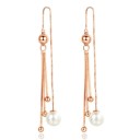 Brincos pendentes femininos R101 5