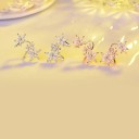 Brincos torcidos femininos flores 3